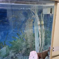 آکواریوم پایه دار