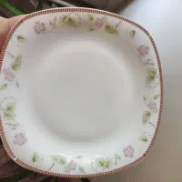 آرکوپال خارجی