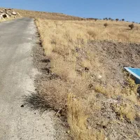 زمین باغی|فروش دفتر صنعتی، کشاورزی، تجاری|همدان, |دیوار