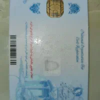 یک کیف کارتی سبز گم شده