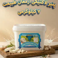 پنیر سنتی گوسفندی، قزل قویون،خوش لبن،ریحان،|خوردنی و آشامیدنی|رشت, شهرک احمد خمینی|دیوار