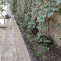 خدمات باغبانی|خدمات باغبانی و درختکاری|کرج, شهرک نهال و بذر|دیوار
