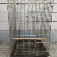 قفس درجه یک1033طلایی