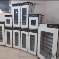 دستگاه جوجه کشی|لوازم جانبی حیوانات|بوشهر, |دیوار