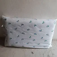 پشتی