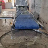 استخدام کارگر افغانی