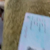 سلام یک سری مدارک پیدا شده