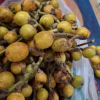 انبه شیرین مثل عسل .... تر تازه