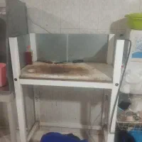 فروش مغازه مرغ ماهی|فروش مغازه و غرفه|یاسوج, |دیوار