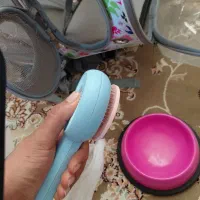 کیف ،باکس خاک،ظرف غذا و شانه تخلیه گربه|لوازم جانبی حیوانات|خمینی‌شهر, |دیوار