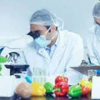 مهندس صنایع غذایی