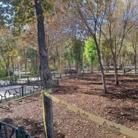 رهن واحد اداری مسکونی مبله|اجارهٔ آپارتمان|قم, دانش|دیوار