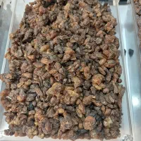 کشمش و میز|خوردنی و آشامیدنی|کرمان, |دیوار