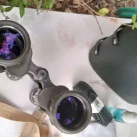 دوربین شکاری زاواروسکی|کوهنوردی و کمپینگ|شهرکرد, |دیوار