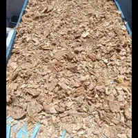 نان خشک تمیز  درجه یک بدون  ۵ تن تحویل در انبار ۳۵