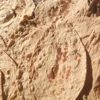 نان با کیفیت عالی