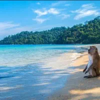 جذب نیروی کار امارات و ترکیه|استخدام رایانه و فناوری اطلاعات|تهران, ارم|دیوار