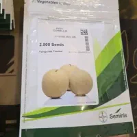 توزیع انواع بذرپیاز گوجه فرنکی هندوانه قیمت تعاونی|خدمات باغبانی و درختکاری|جیرفت, |دیوار