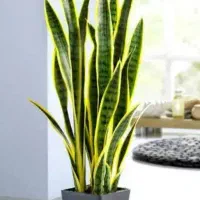 اگهی ثبت کردن