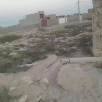 زمین 359 متری نزدیک بنه گز|فروش زمین و ملک کلنگی|اهرم, |دیوار