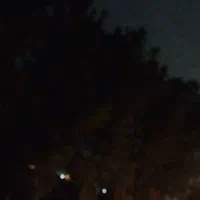 فروش پارس تمام رنگ