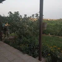 فروش خونه باغ و دامداری در ساوه با سند تک برگ|فروش دفتر صنعتی، کشاورزی، تجاری|تهران, منیریه|دیوار