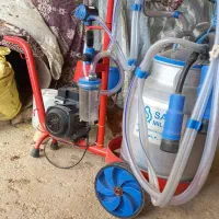 گاو|ماشینآلات صنعتی|کاکاوند, |دیوار