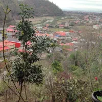 اجاره-مغازه-35-مشتری-در-خرجگیل