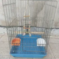 قفس پرنده|لوازم جانبی حیوانات|تهران, افسریه جنوبی|دیوار