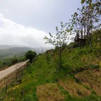 زمین ییلاقی