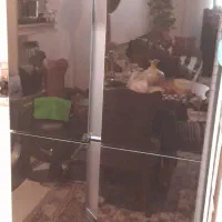 یخچال هایسنس|یخچال و فریزر|رشت, دیلمان|دیوار
