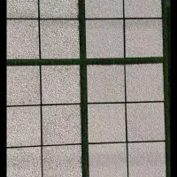 موزائیک فروردین