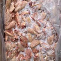اسکلت مرغ