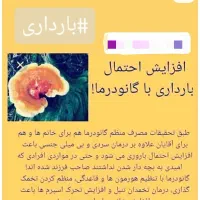 هات چاکلت  گانودرما..اکسیر جوانی|خوردنی و آشامیدنی|شیراز, نشاط|دیوار