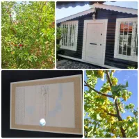 باغ|فروش زمین و ملک کلنگی|اصفهان, خواجو|دیوار