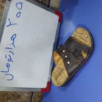 حراج   ویژه|کیف، کفش، کمربند|میناب, |دیوار