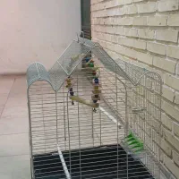 قفس پرنده