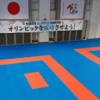 کیسه بکس و میت