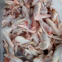 غذای سگ و گربه اسکلت مرغ|لوازم جانبی حیوانات|محمدشهر, محمدشهر|دیوار