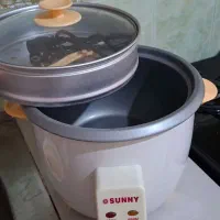 پلوپز،بخارپز وسرخکن سانی