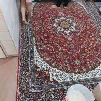 فرش قیمت مناسب|فرش|شاهرود, |دیوار