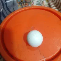 سنگ اسیاب|کلکسیون اشیاء عتیقه|دماوند, دماوند|دیوار