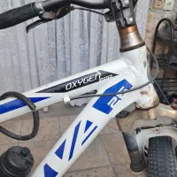 دو چرخه ویوا ۲۴ دنده سایز ۲۶ سالم|دوچرخه، اسکیت، اسکوتر|تربت جام, شهرک معلم|دیوار