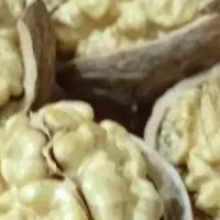 گردوی طالقان روستای ناریان