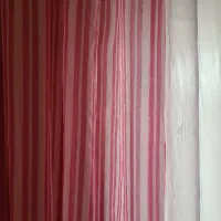 پارچه حریر پانچ نو نو|لباس|لاهیجان, کوی آزادگان|دیوار