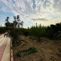۷۰۰ متر زمین با درختان قدیمی
