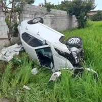 مشاوره تصادفی خریدتصادفی رچپی جزعی همه سمنددناغیره