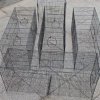 قفس پرنده
