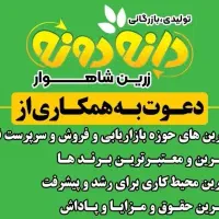 دعوت به همکاری بازاریاب و فروشنده در شرکت پخش