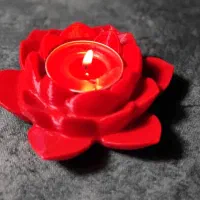 جاشمعی پلاستیک طبیعی(ذرت)|صنایع دستی و سایر لوازم تزئینی|تهران, جوادیه|دیوار